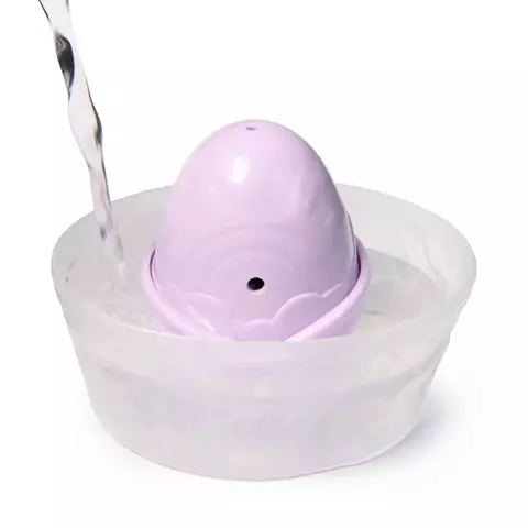 Hatchimals Alive Surpresa Com Acessório Rainbow Splash 4000 Sunny