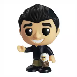 Fandom Box Friends Ross 020 - 10 Cm - Líder Brinquedos