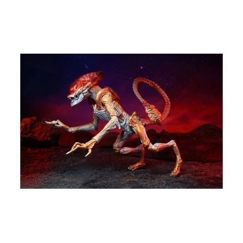 Figura Kenner Panther Alien - 7 Scale Neca - Aliens