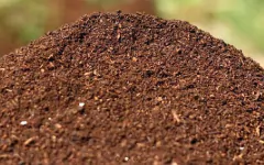 HUMUS DE LOMBRIZ en internet