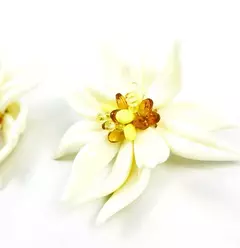 AROS FLOR en internet