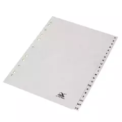 IBI INDICE ALFABETICO 11 PERFORACIONES A4