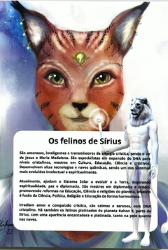 Felino de Sírius - 04B - Colecão Família Estelar - loja online