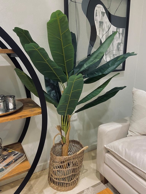 PLANTA BANANA 150CM