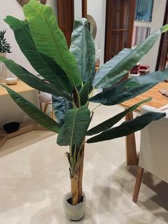 PLANTA BANANA 150CM - comprar online