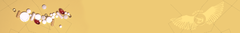 Banner da categoria Cápsulas