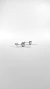 Aros Chicago B. - comprar online