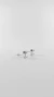 Aros Booker B - comprar online