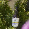 Serum Capilar Romero, Argán, Jojoba y Chía - comprar online