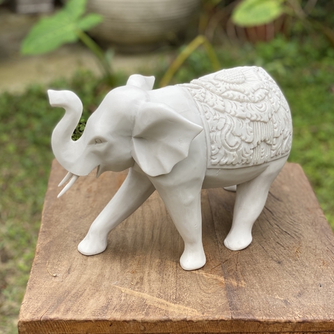 Elefante Indiano Grande