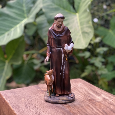 São Francisco de Assis - Resina (31cm)
