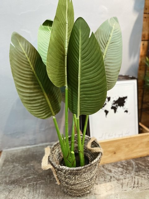 Planta Artificial Banano - 1.20mts