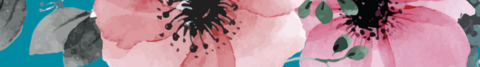 Banner de la categoría KIDS NENAS Y NENES