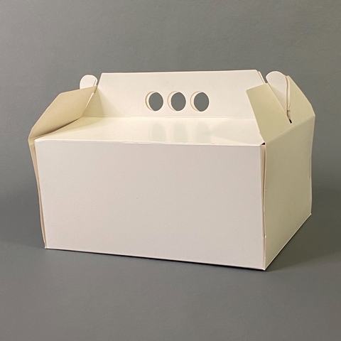 CAJA PORCION DOBLE 24x12x11