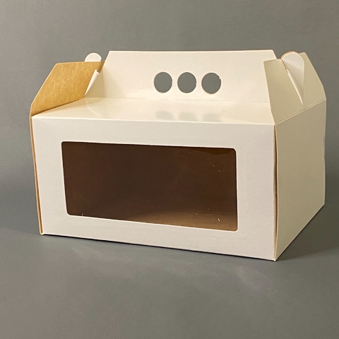 CAJA TIPO MALETIN FACTURERA CON VISOR 23x19x11