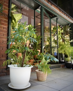 Maceta XL Ceramica con Plato en internet