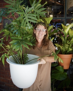 Maceta XL Ceramica con Plato