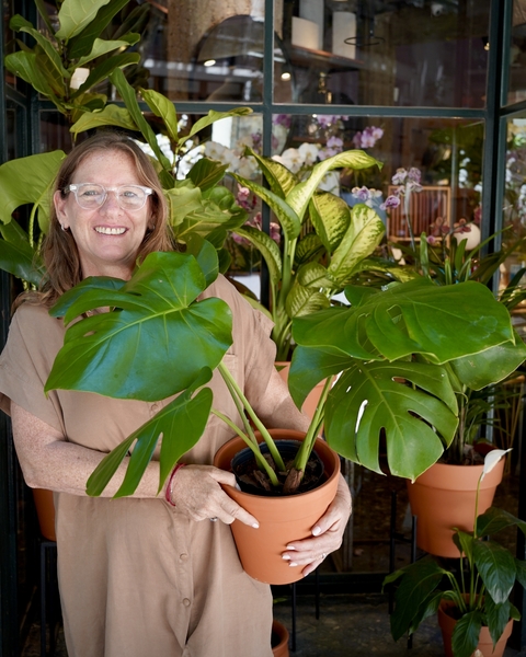 Macetas Terracota - comprar online