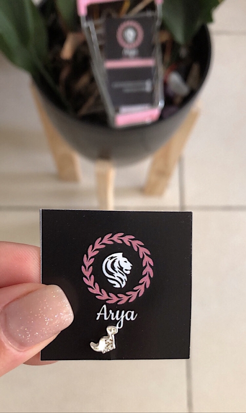 Mini dino plata 925 (unidad)