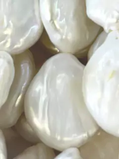 PRM16 - Pérola branca Moeda 16mm