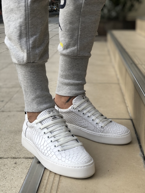Calabria croco blanca