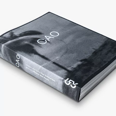 CAO, Cao Guimarães - buy online