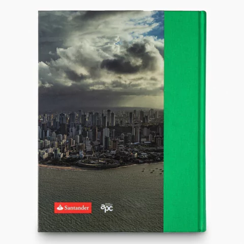 tuca reinés - o olhar em suspensão na internet