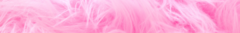 Banner de la categoría Sex Appel