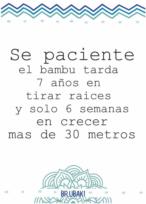 Bambú - Frases Motivacionales