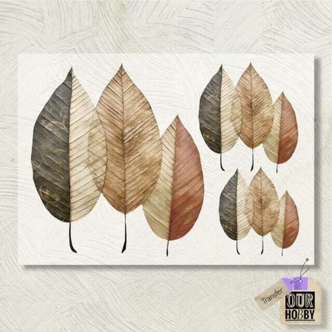 Transfolex Color Our Hobby A4 COD 059