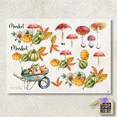 Transfolex Color Our Hobby A4 COD 011