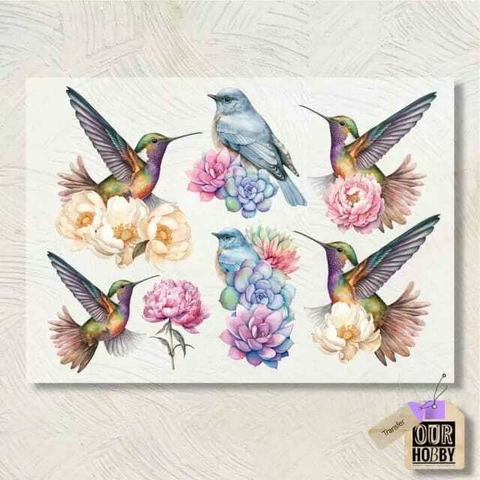 Transfolex Color Our Hobby A4 COD 019