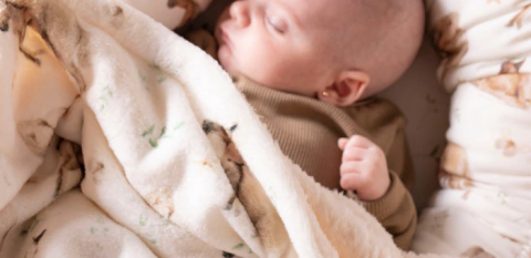 OTOÑO/INVIERNO 2025