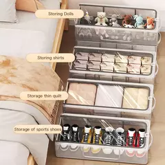 Caja organizadora de calzados Finny 2 en internet