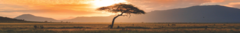 Banner da categoria Visto Gabão