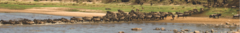 Banner da categoria Visto Tanzânia