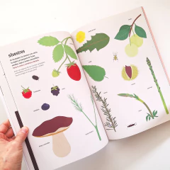 NATURALISTAS EN LL COCINA Una guía para pequeños científicos y grandes gourmets - tienda online