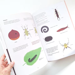 Imagen de NATURALISTAS EN LL COCINA Una guía para pequeños científicos y grandes gourmets