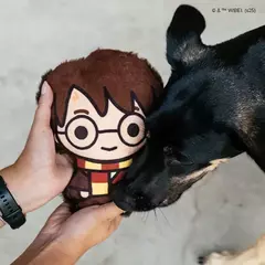 Brinquedo Harry Poter de pelúcia para cães - Petiko na internet