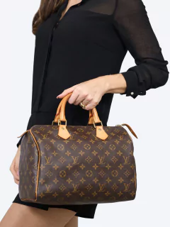 Bolsa Louis Vuitton Monogram Speedy 30 na internet