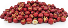 Banner de la categoría Murta congelada 1 KG