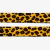 Collar para Perro Honey Zee Dog - tienda online