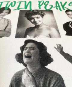 TWIN PEAKS na internet