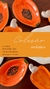 Carrossel 3
