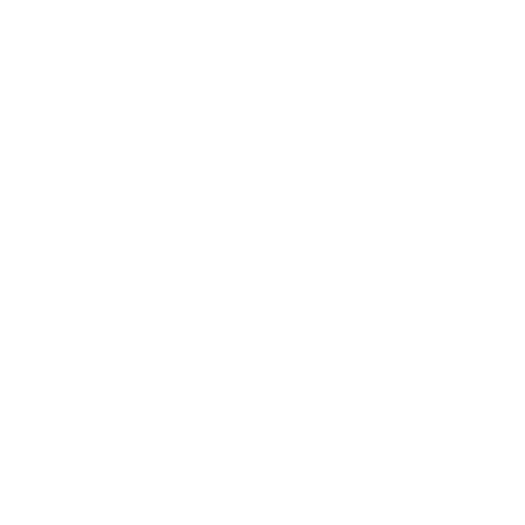 AURA SHOES