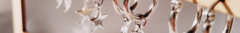 Banner de la categoría AROS