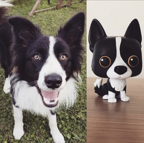 Ref.705-Kit molde pop pet dog tamanho G corpo e cabeça