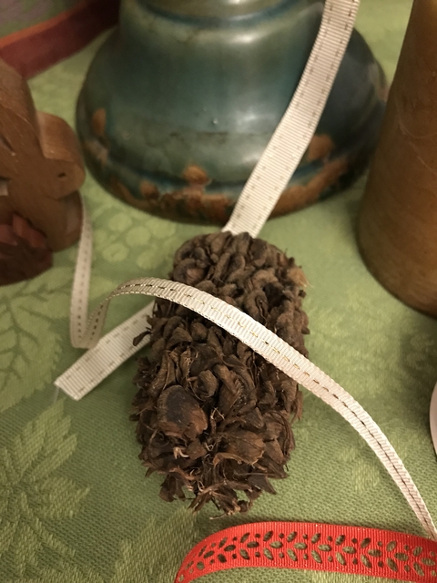 Cinta Minimona Deluxe