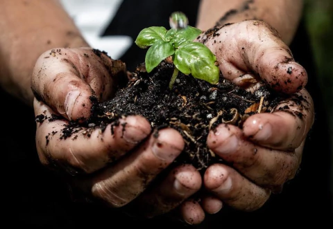 Carrusel Rama Somos Composteras