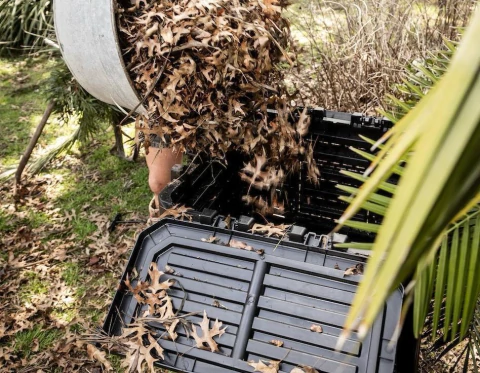 Carrusel Rama Somos Composteras